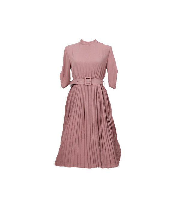 Button Up Sleeve Pleated Dress